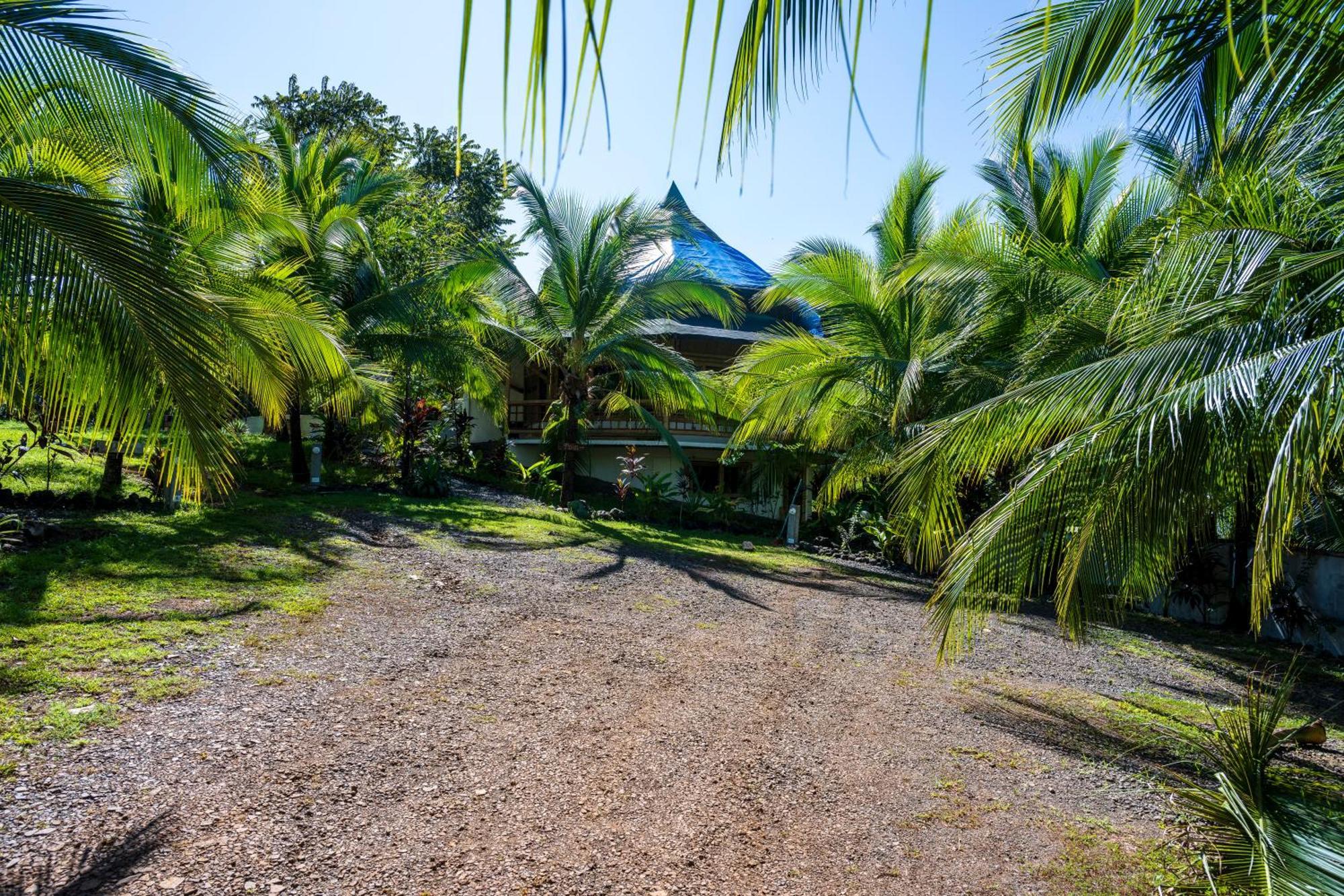 Eco-Lodge Deseo Bamboo Santa Catalina Exteriör bild