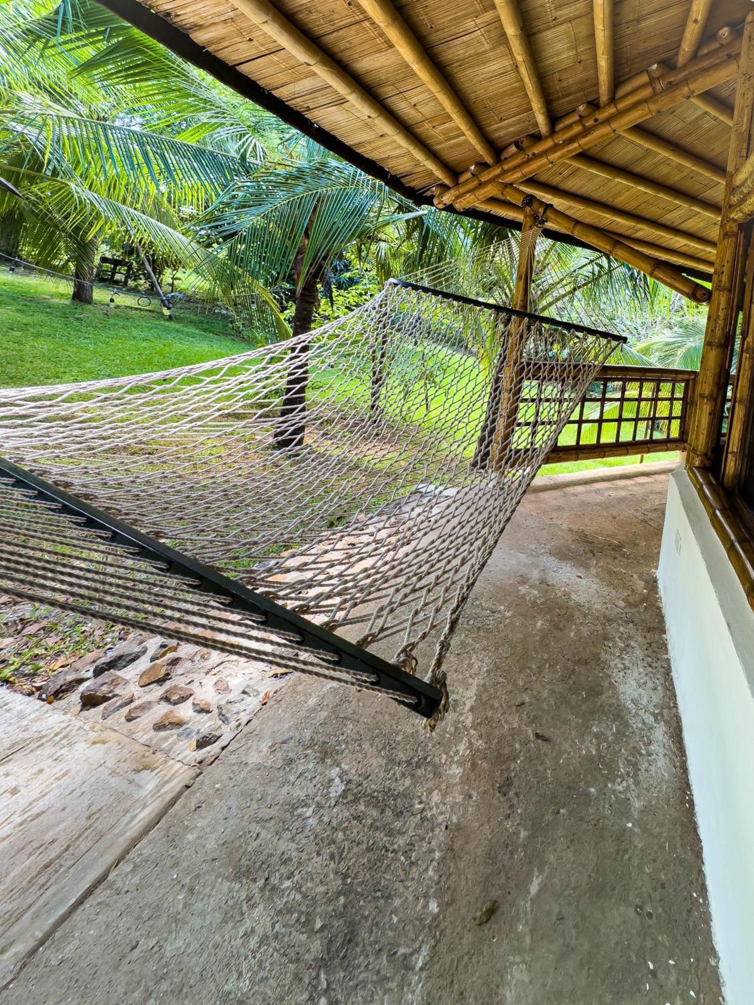 Eco-Lodge Deseo Bamboo Santa Catalina Exteriör bild