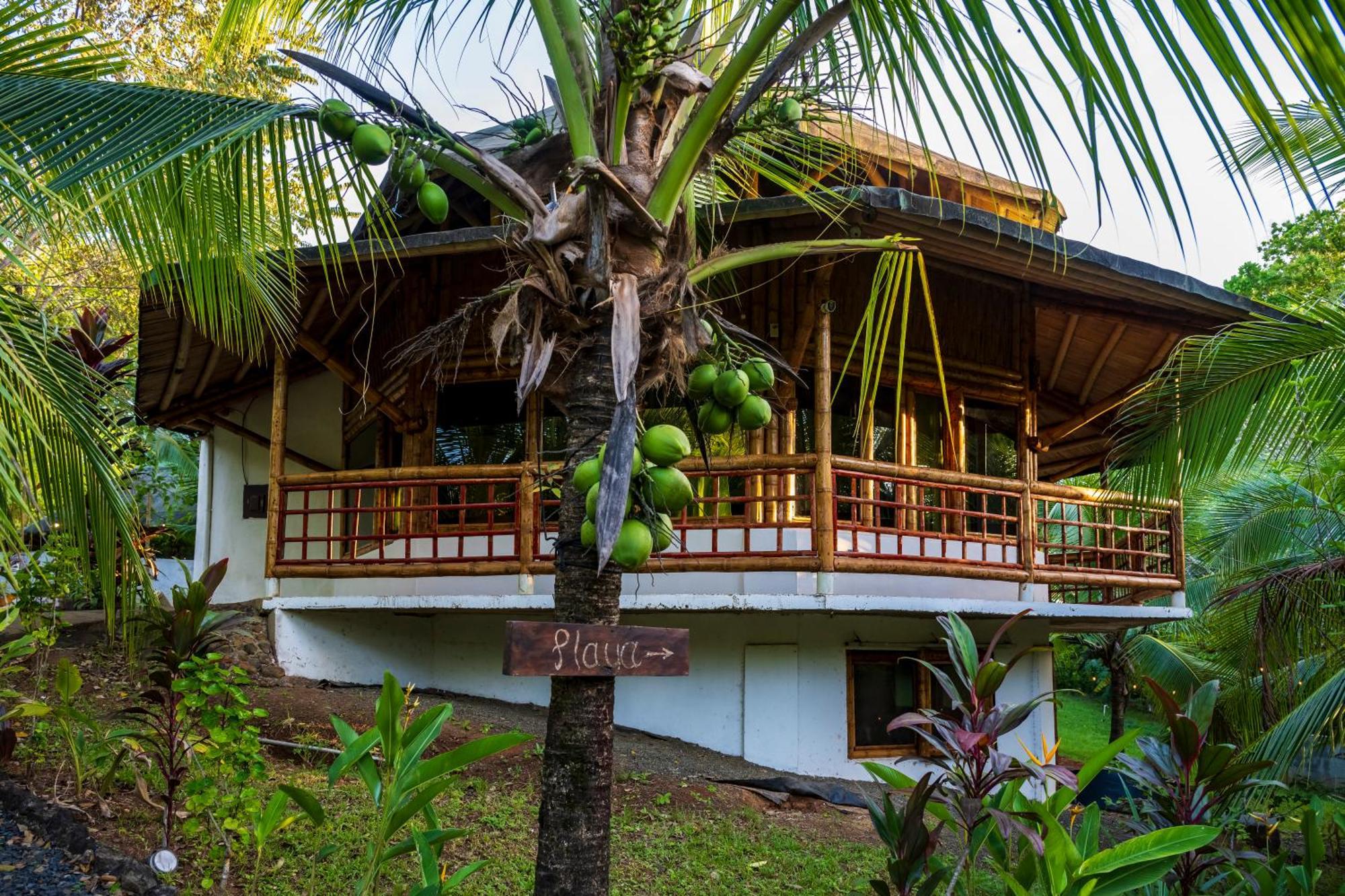 Eco-Lodge Deseo Bamboo Santa Catalina Exteriör bild
