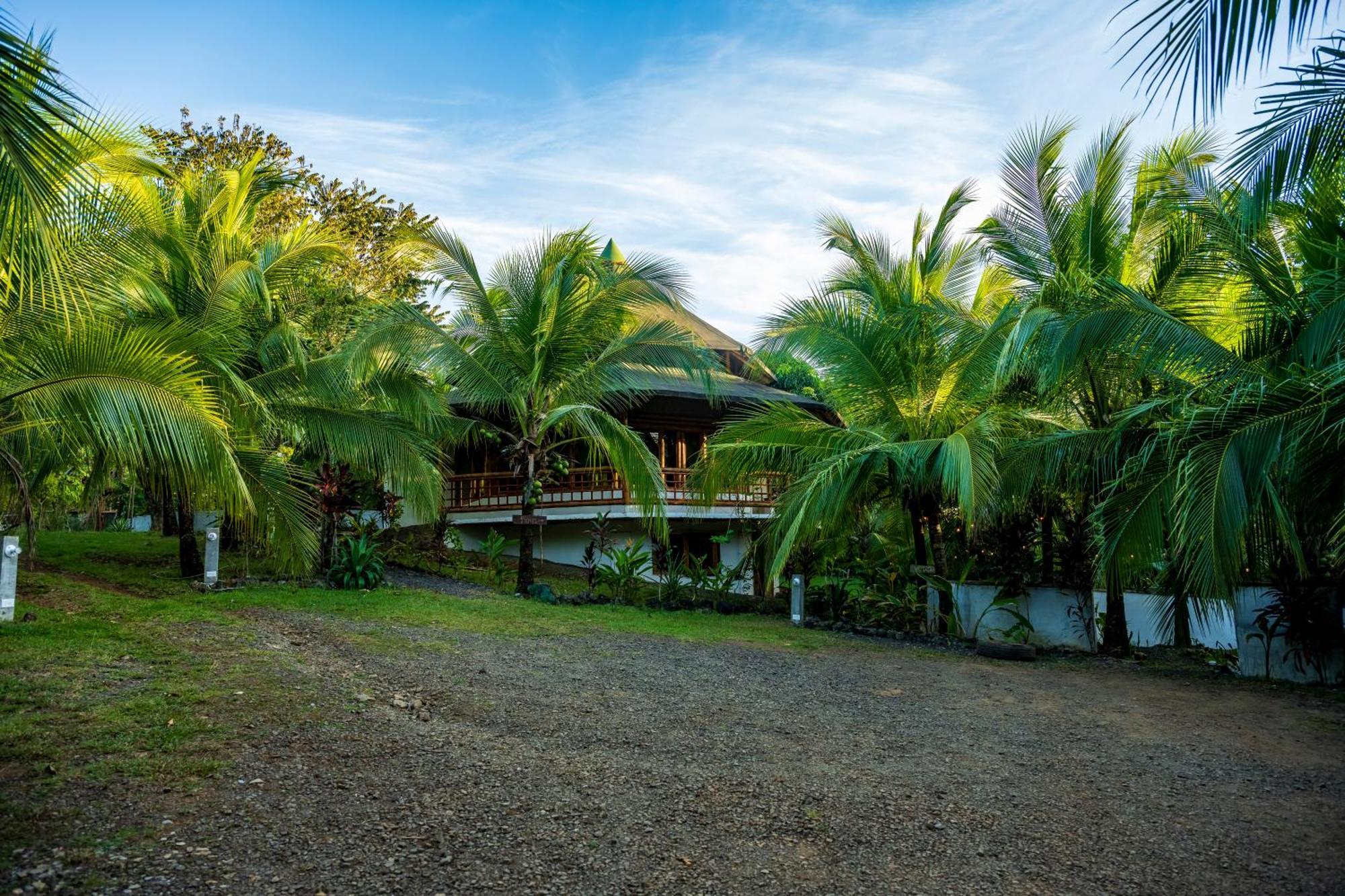 Eco-Lodge Deseo Bamboo Santa Catalina Exteriör bild