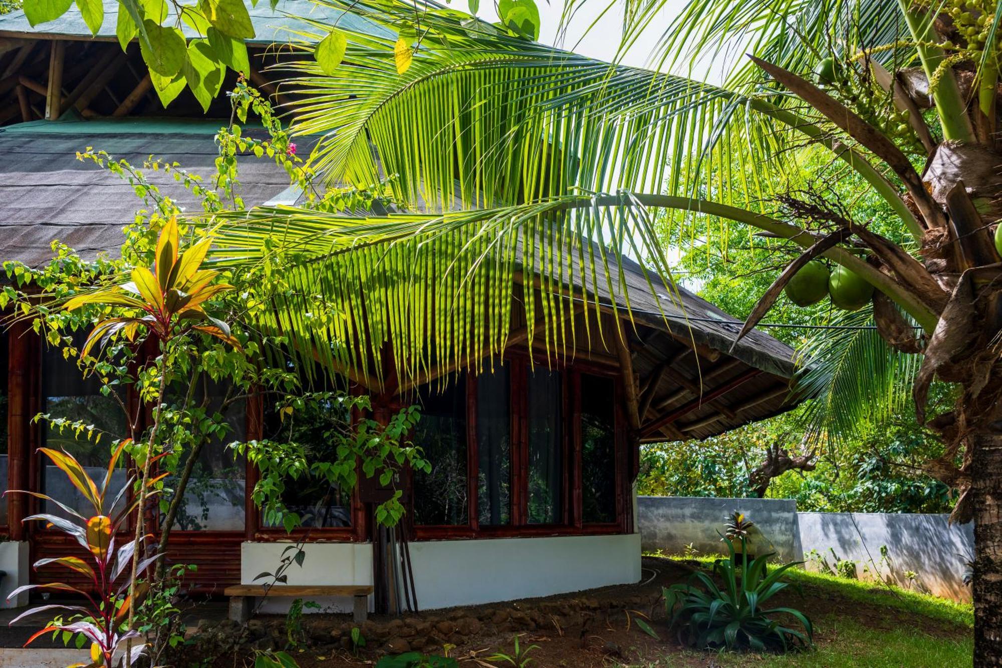 Eco-Lodge Deseo Bamboo Santa Catalina Exteriör bild